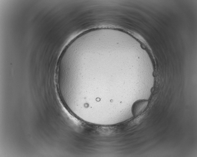 X0000080120847200612302008