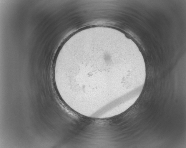 X0000080120848200612302008