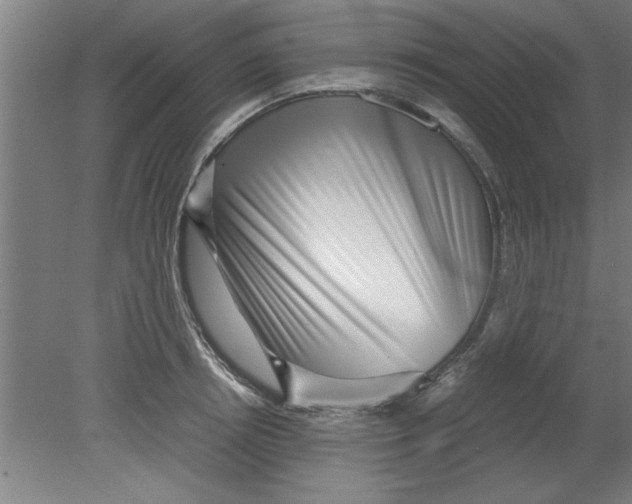 X0000080120850200612302008