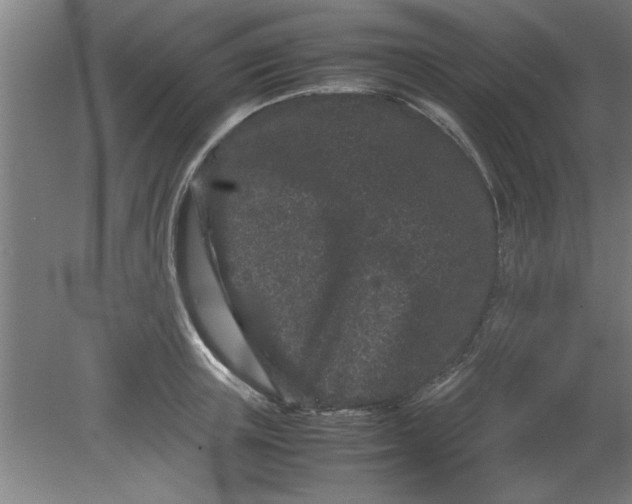 X0000080120851200612302008