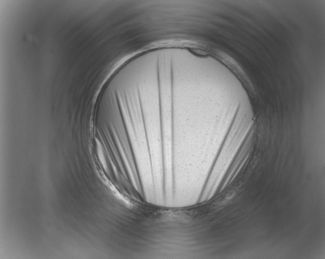 X0000080120852200612302008