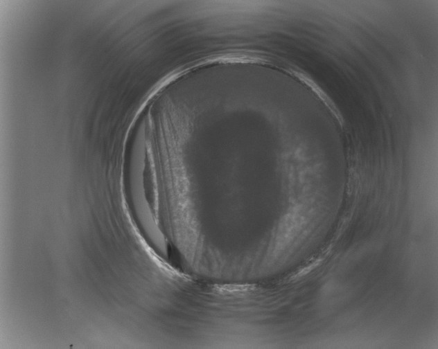 X0000080120853200612302008