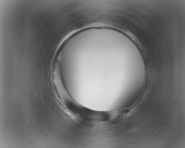 X0000080120854200612302008