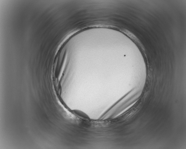 X0000080120855200612302008