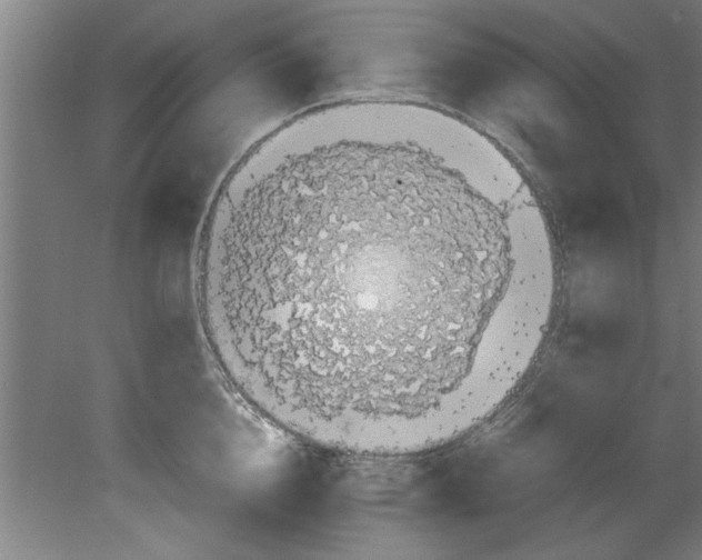 X0000080120856200612302008