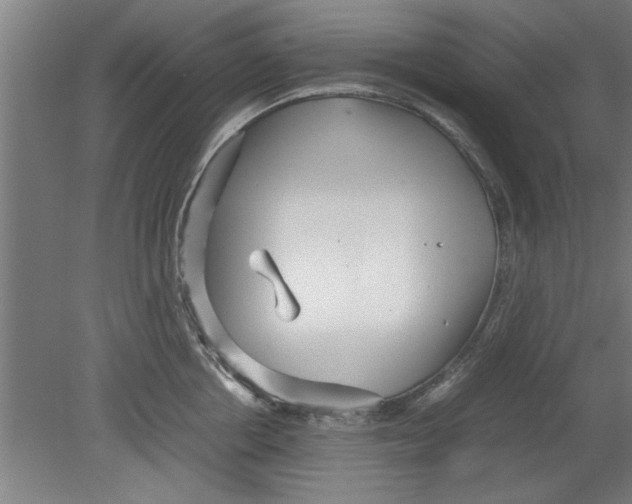 X0000080120858200612302008