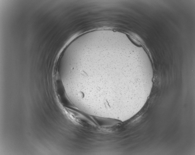 X0000080120859200612302008