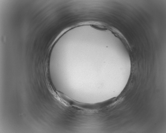 X0000080120860200612302008