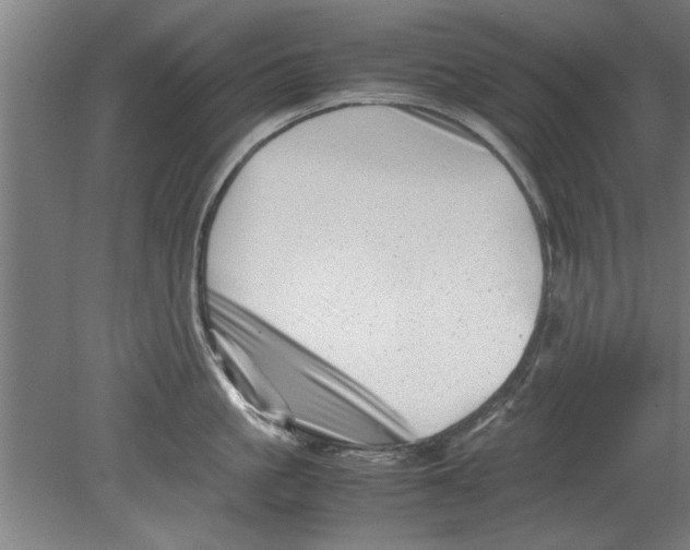 X0000080120861200612302008