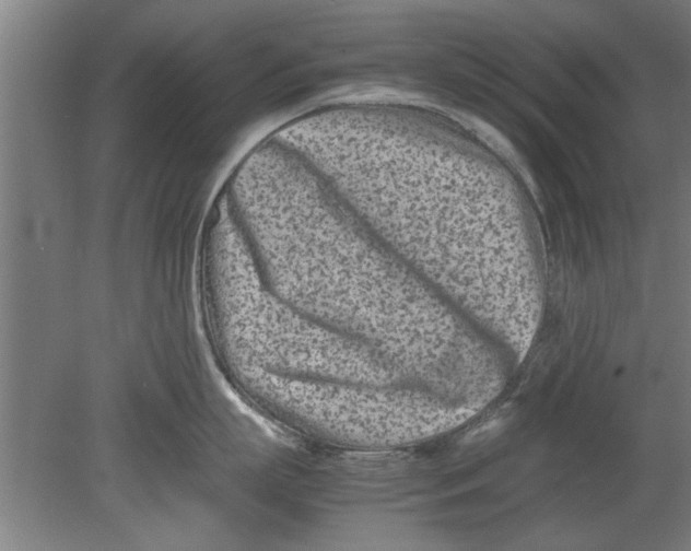 X0000080120863200612302008