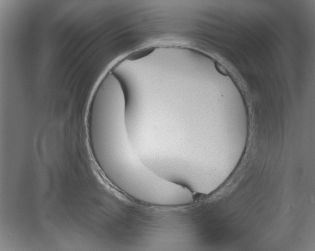 X0000080120864200612302008