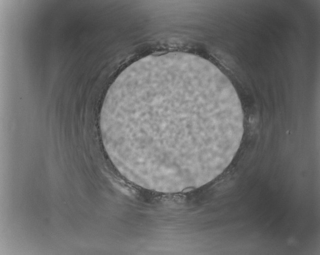 X0000080120865200612302008