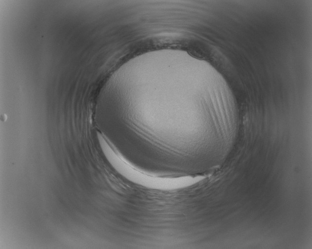 X0000080120868200612302008