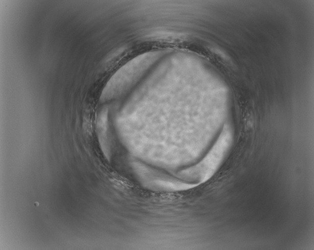 X0000080120869200612302008