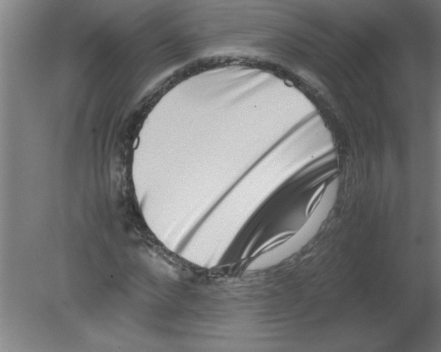 X0000080120872200612302007