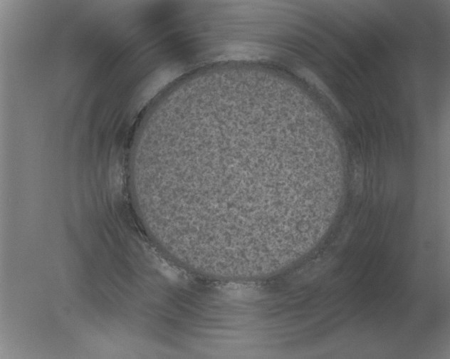 X0000080120874200612302007