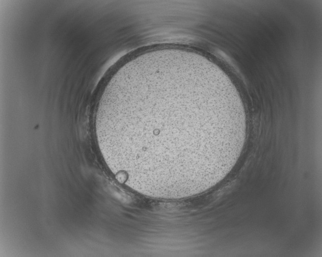 X0000080120875200612302007