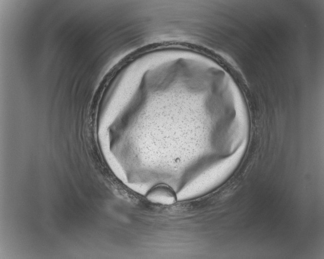 X0000080120879200612302007