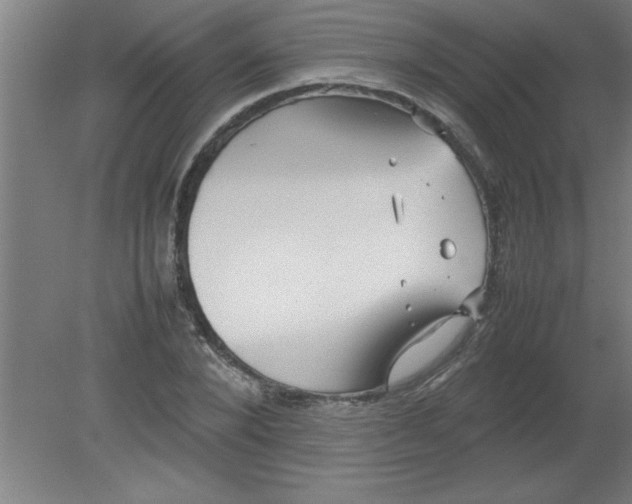 X0000080120880200612302007