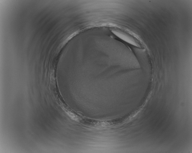 X0000080120881200612302007