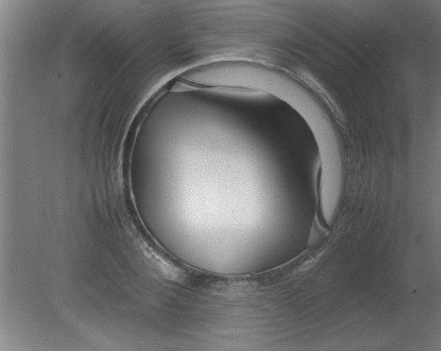 X0000080120884200612302007