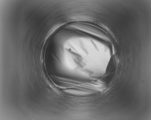 X0000080120885200612302007