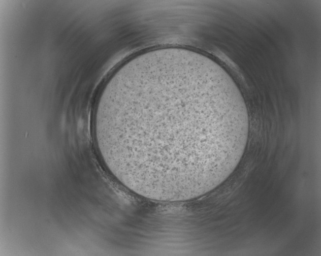 X0000080120886200612302007