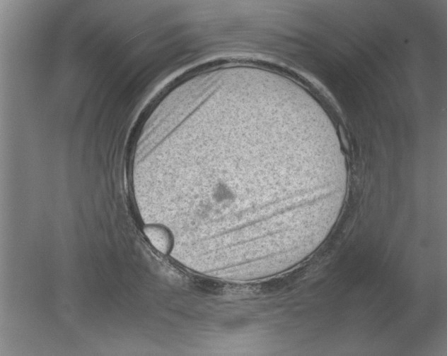 X0000080120887200612302007