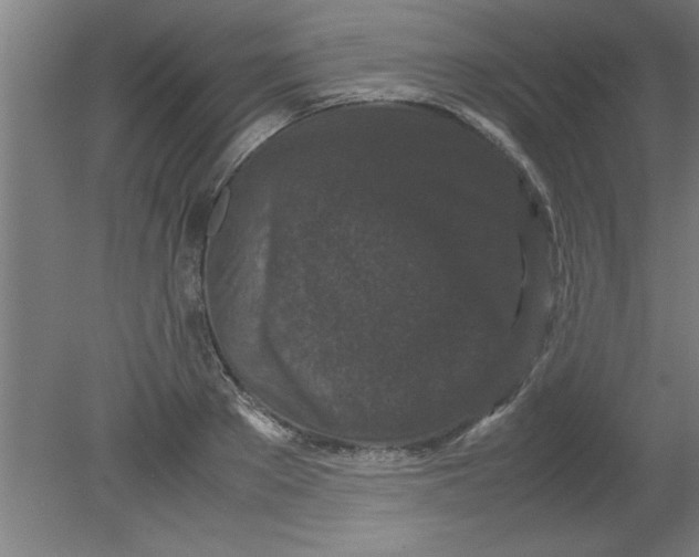 X0000080120889200612302007