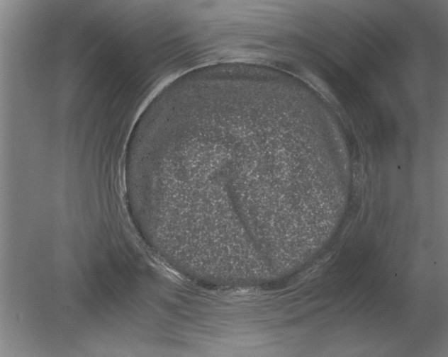 X0000080120891200612302007