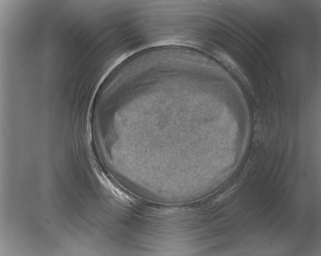 X0000080120892200612302007