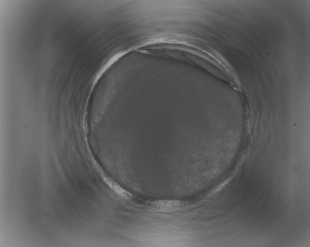 X0000080120893200612302007