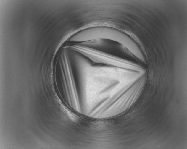 X0000080120894200612302007