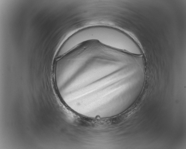 X0000080120895200612302007