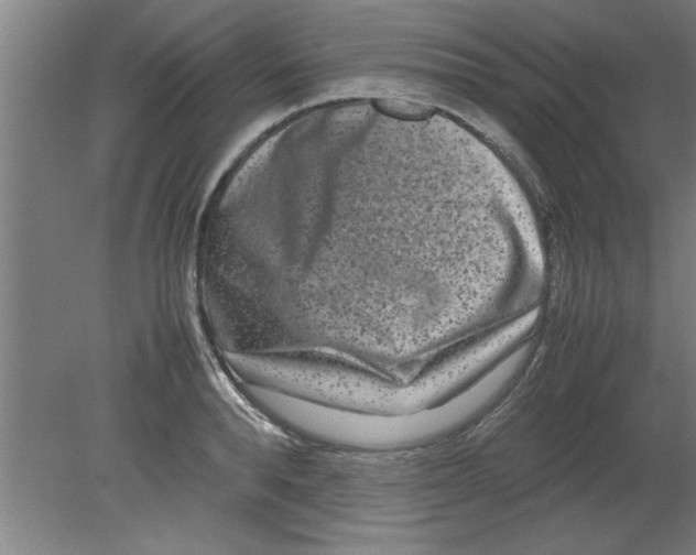 X0000080120896200612302007