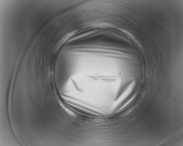 X0000080120897200612302007