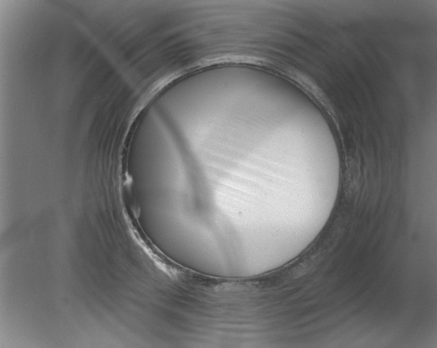 X0000080120898200612302007