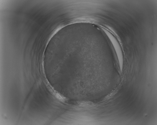 X0000080120899200612302007