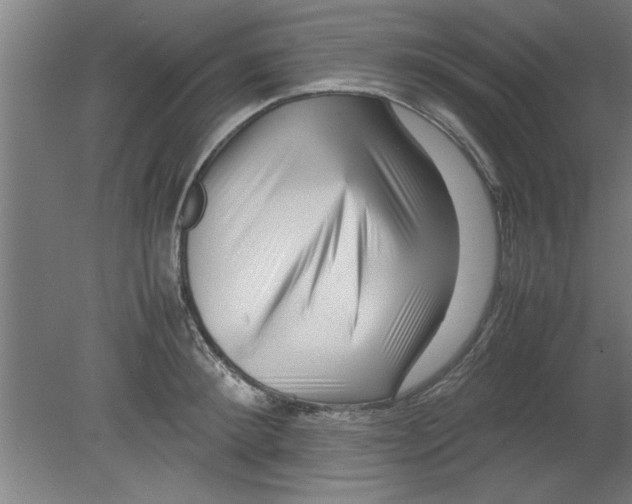 X0000080120900200612302007