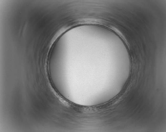 X0000080120901200612302007