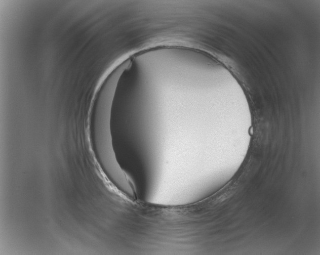 X0000080120904200612302007