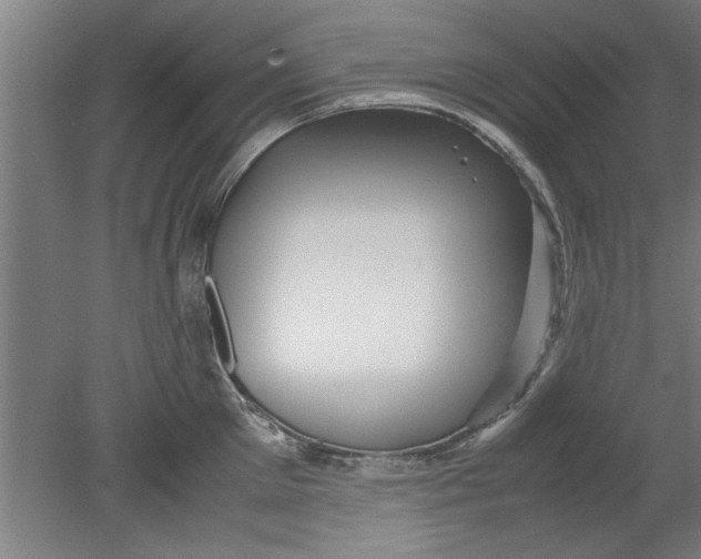 X0000080120905200612302007