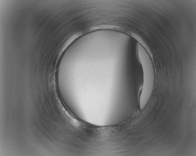 X0000080120906200612302007