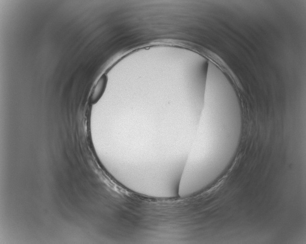 X0000080120908200612302007