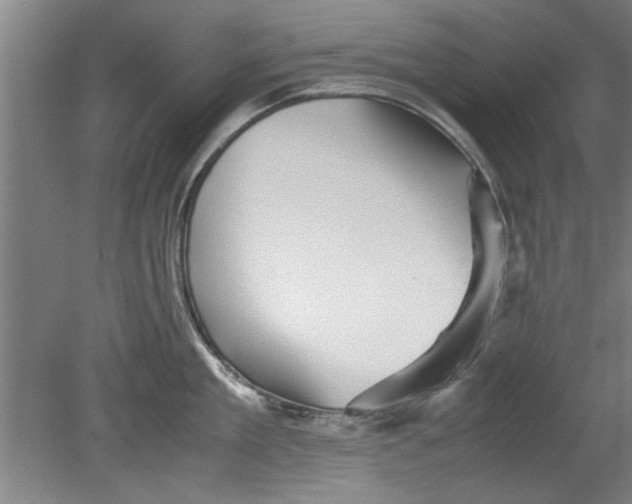 X0000080120909200612302007