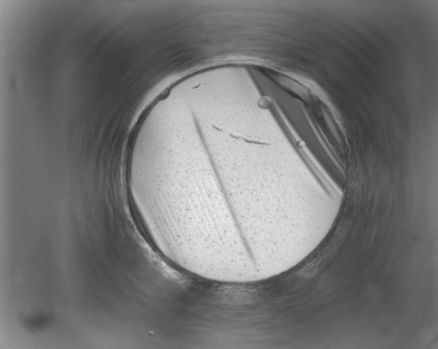 X0000080120910200612302007