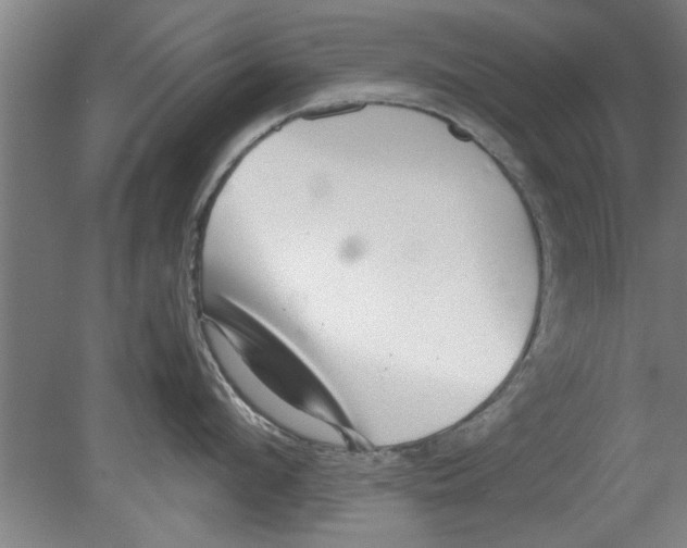 X0000080120912200612302007