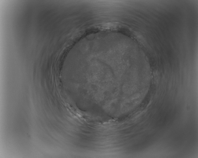 X0000080120913200612302006