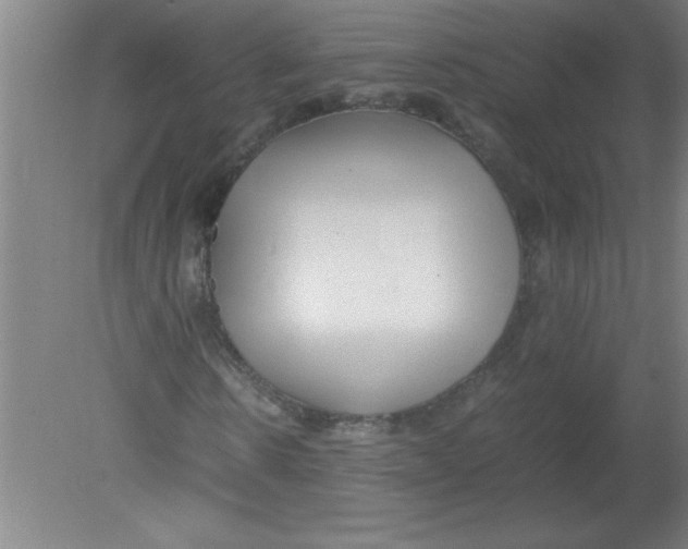 X0000080120914200612302006