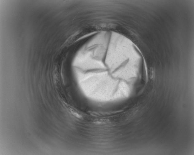 X0000080120915200612302006